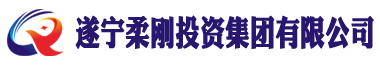 遂宁柔刚投资集团有限公司