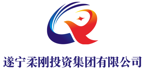 集团简介