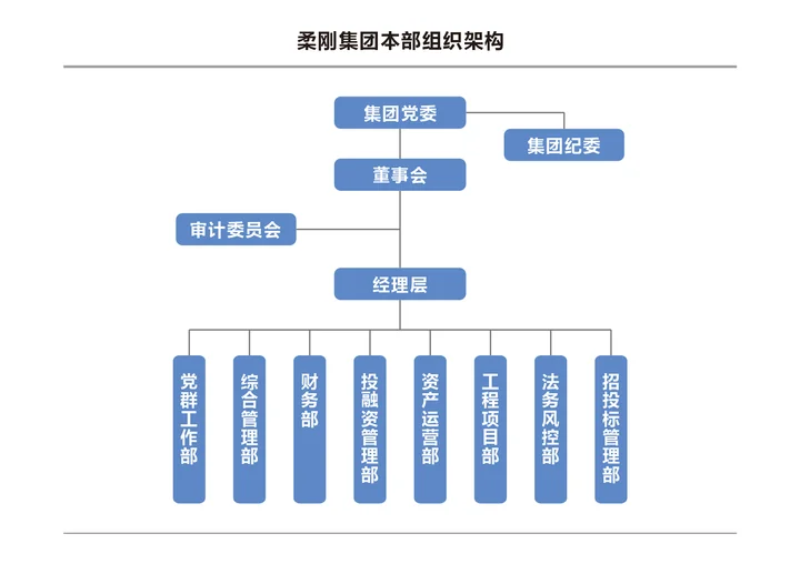 柔刚集团本部组织架构